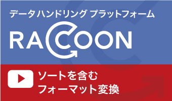 RACCOONを使ったソートを含むフォーマット変換